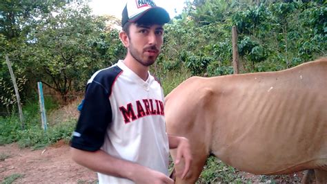 Homem Comendo Égua